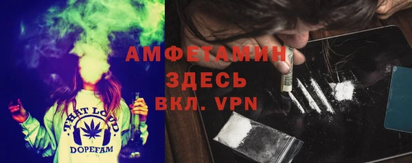 PSILOCYBIN Аркадак