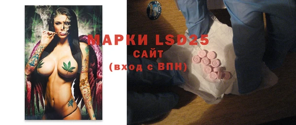 ПСИЛОЦИБИНОВЫЕ ГРИБЫ Баксан